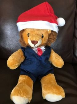 Leo in holiday gear