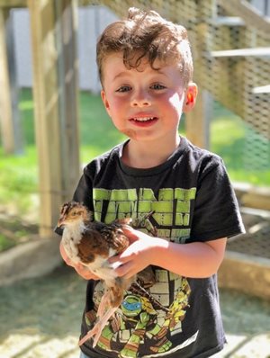 Gibson.jpg Gibson.jpg